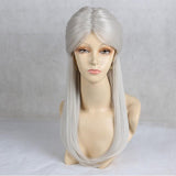 Anime Girl Long Straight Synthetic Silver Hair Cosplay Wig - AnimePond